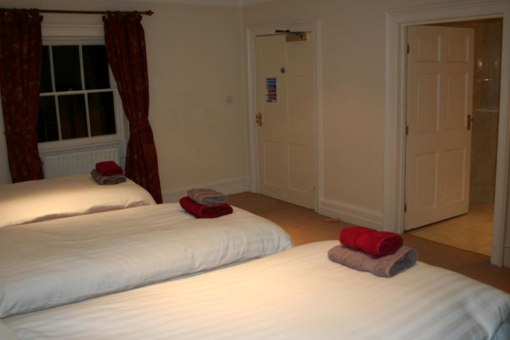 Hotel The Trewythen Llanidloes Exterior foto